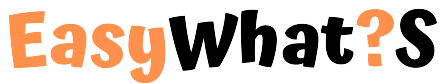 Easywhatis Ratina Logo